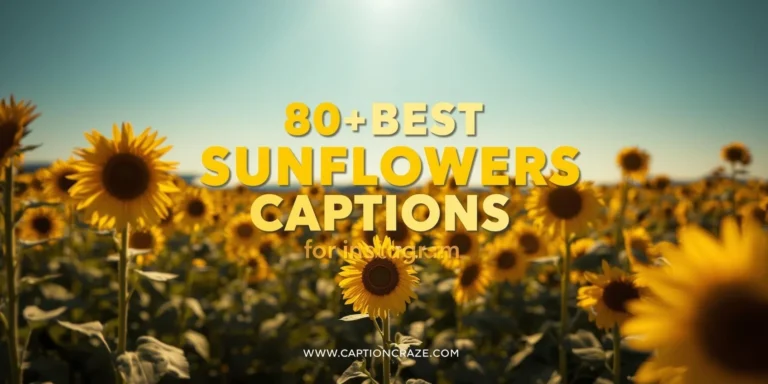 Sunflower Captions